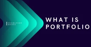 What is portfolio And What is its importance in Engineering